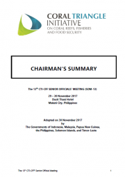 SOM 13 - Chairman's Summary